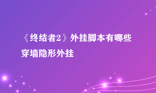 《终结者2》外挂脚本有哪些 穿墙隐形外挂