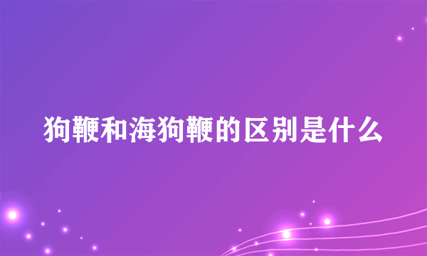 狗鞭和海狗鞭的区别是什么