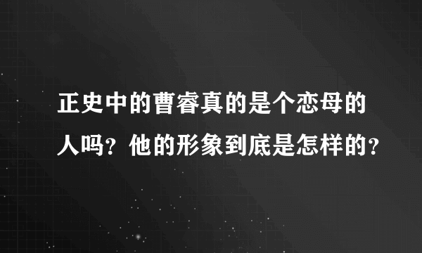 正史中的曹睿真的是个恋母的人吗？他的形象到底是怎样的？