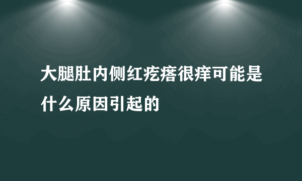 大腿肚内侧红疙瘩很痒可能是什么原因引起的