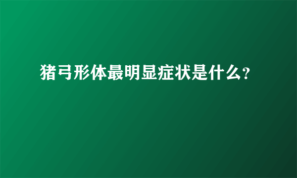 猪弓形体最明显症状是什么？