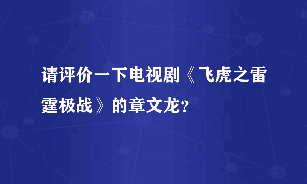 请评价一下电视剧《飞虎之雷霆极战》的章文龙？