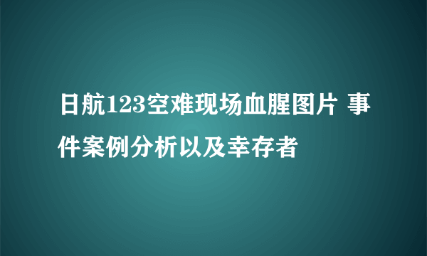 日航123空难现场血腥图片 事件案例分析以及幸存者