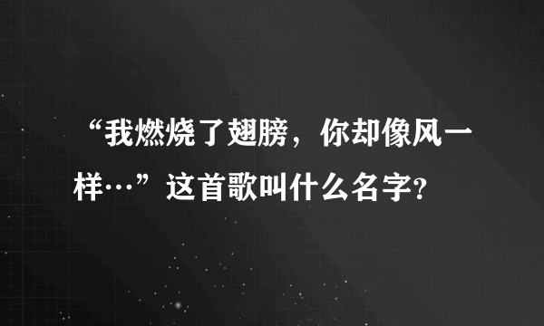 “我燃烧了翅膀，你却像风一样…”这首歌叫什么名字？