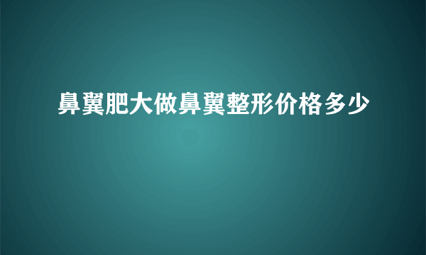 鼻翼肥大做鼻翼整形价格多少