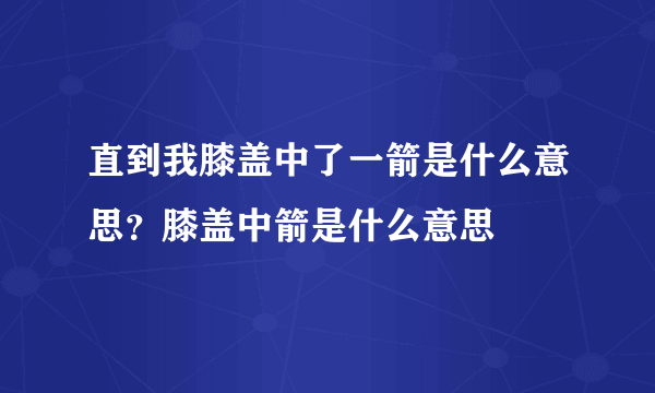 直到我膝盖中了一箭是什么意思？膝盖中箭是什么意思