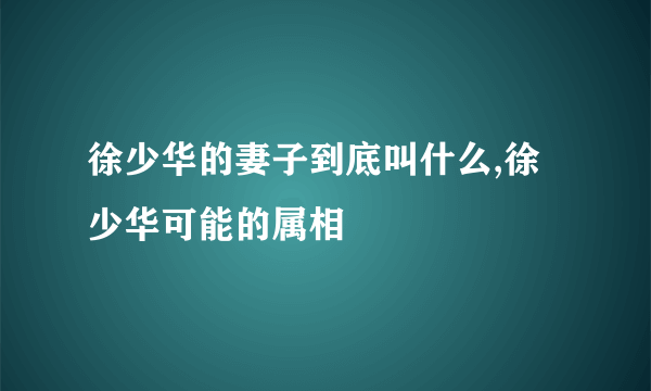 徐少华的妻子到底叫什么,徐少华可能的属相