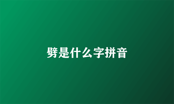 劈是什么字拼音