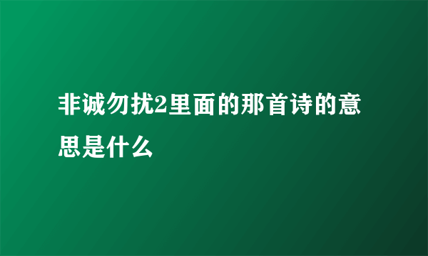 非诚勿扰2里面的那首诗的意思是什么