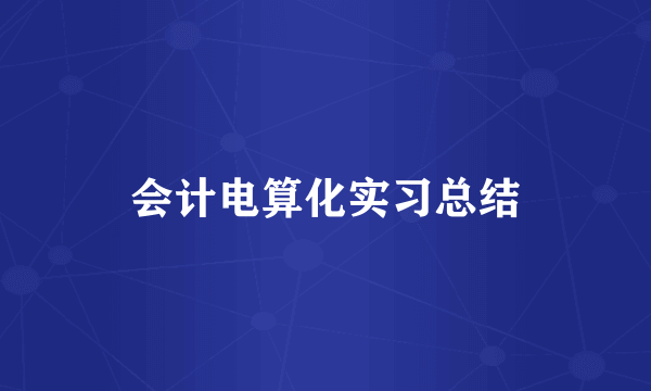 会计电算化实习总结