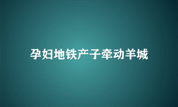 孕妇地铁产子牵动羊城