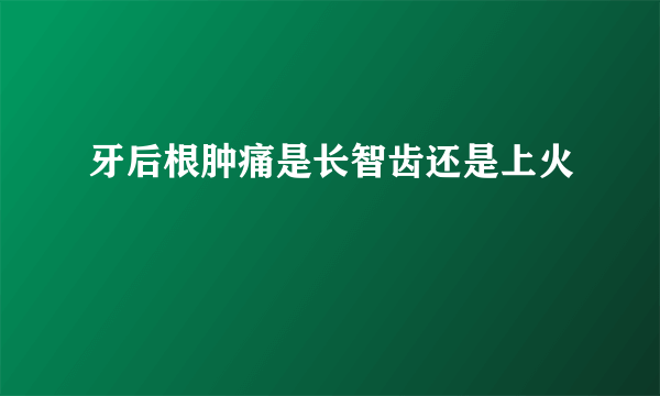 牙后根肿痛是长智齿还是上火