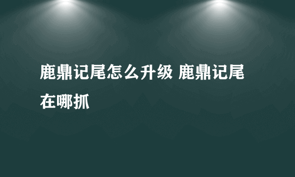 鹿鼎记尾怎么升级 鹿鼎记尾在哪抓