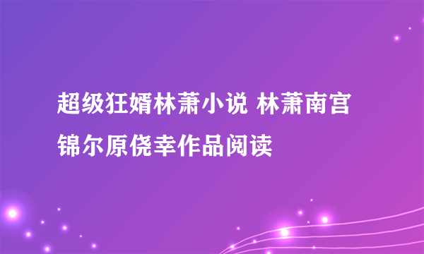 超级狂婿林萧小说 林萧南宫锦尔原侥幸作品阅读