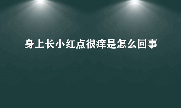 身上长小红点很痒是怎么回事