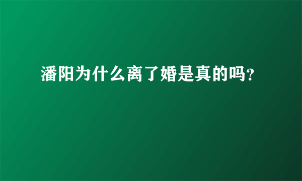 潘阳为什么离了婚是真的吗？