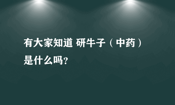 有大家知道 研牛子（中药） 是什么吗？