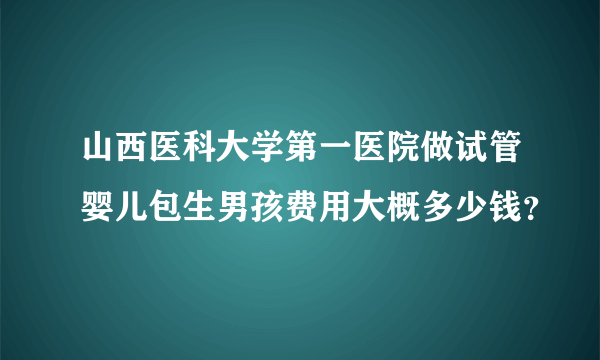 山西医科大学第一医院做试管婴儿包生男孩费用大概多少钱？