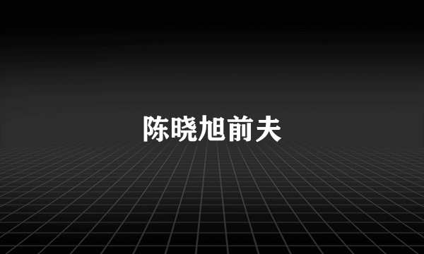 陈晓旭前夫