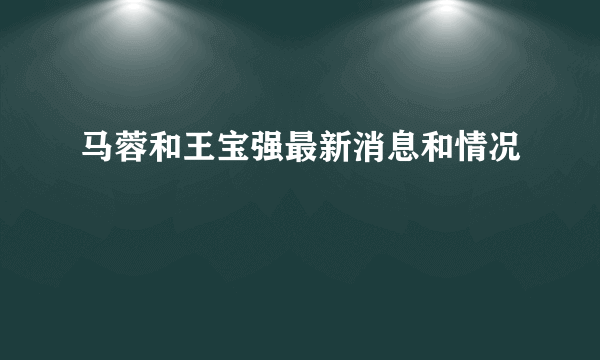 马蓉和王宝强最新消息和情况