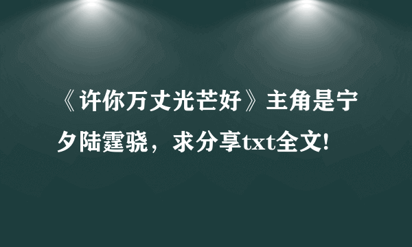 《许你万丈光芒好》主角是宁夕陆霆骁，求分享txt全文!