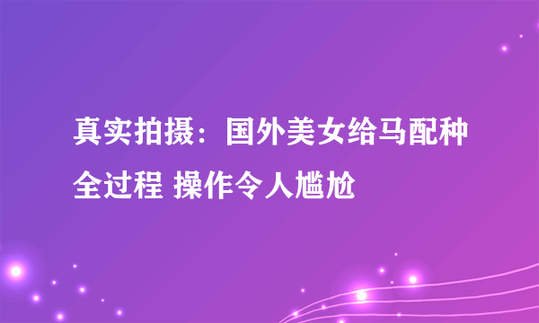 真实拍摄：国外美女给马配种全过程 操作令人尴尬