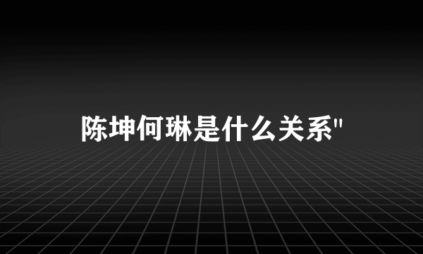 陈坤何琳是什么关系