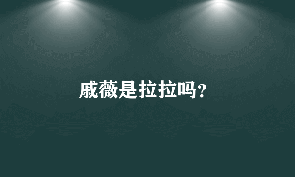 戚薇是拉拉吗？