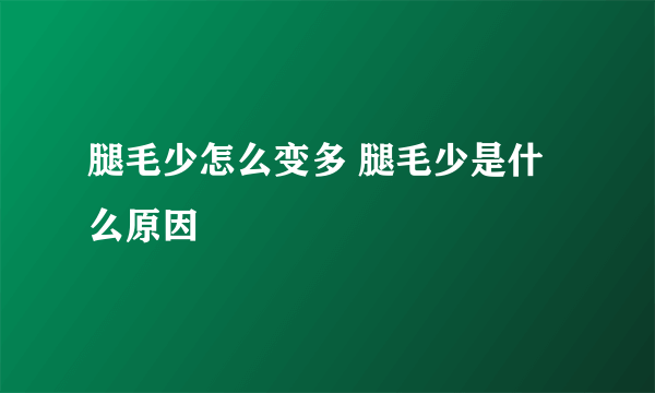 腿毛少怎么变多 腿毛少是什么原因