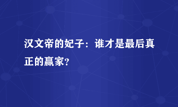 汉文帝的妃子：谁才是最后真正的赢家？