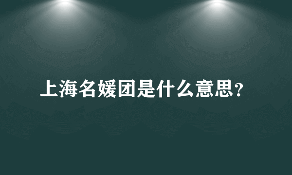 上海名媛团是什么意思？