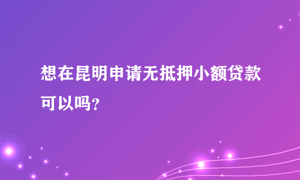 想在昆明申请无抵押小额贷款可以吗？