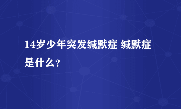 14岁少年突发缄默症 缄默症是什么？