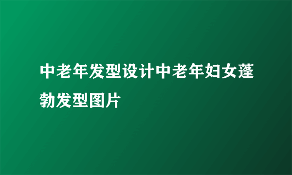 中老年发型设计中老年妇女蓬勃发型图片