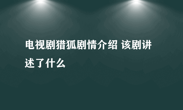 电视剧猎狐剧情介绍 该剧讲述了什么