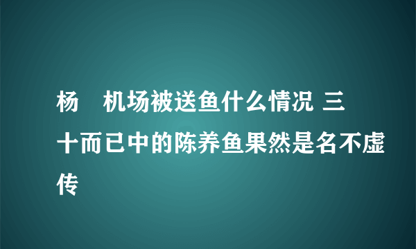 杨玏机场被送鱼什么情况 三十而已中的陈养鱼果然是名不虚传