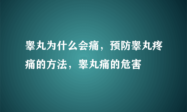 睾丸为什么会痛，预防睾丸疼痛的方法，睾丸痛的危害