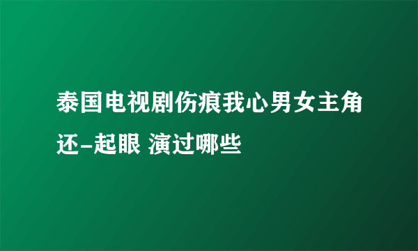 泰国电视剧伤痕我心男女主角还-起眼 演过哪些