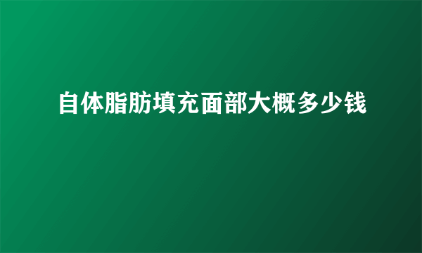 自体脂肪填充面部大概多少钱