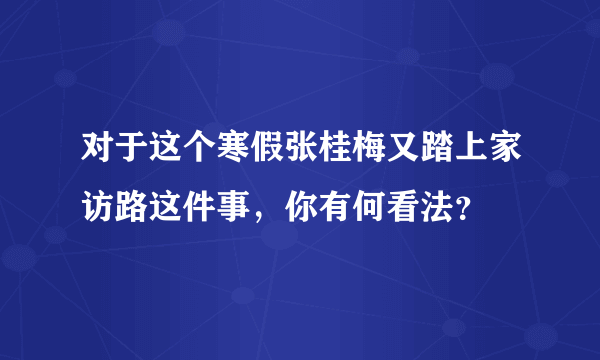 对于这个寒假张桂梅又踏上家访路这件事，你有何看法？