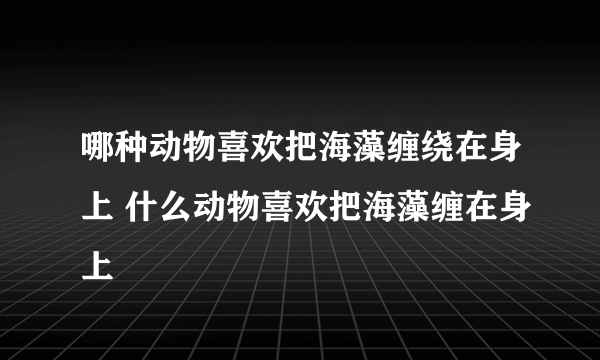 哪种动物喜欢把海藻缠绕在身上 什么动物喜欢把海藻缠在身上