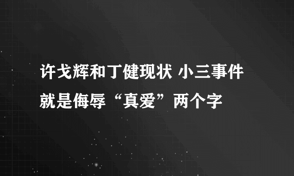 许戈辉和丁健现状 小三事件就是侮辱“真爱”两个字