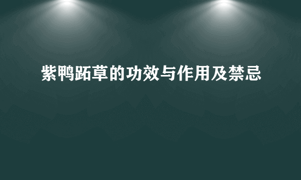 紫鸭跖草的功效与作用及禁忌