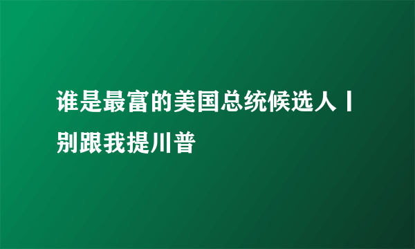 谁是最富的美国总统候选人丨别跟我提川普