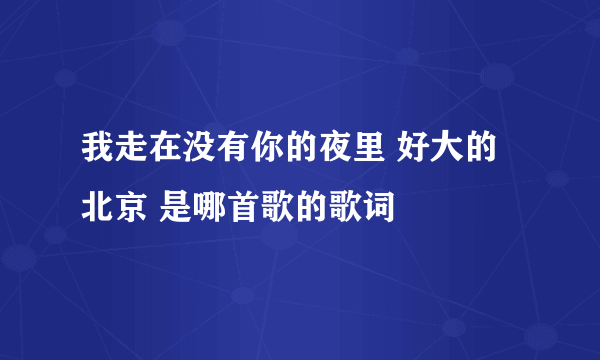 我走在没有你的夜里 好大的北京 是哪首歌的歌词