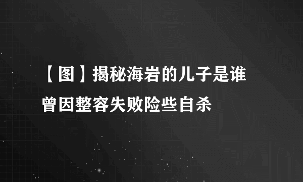 【图】揭秘海岩的儿子是谁  曾因整容失败险些自杀