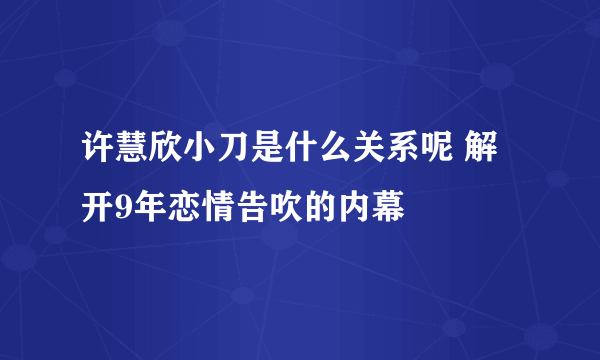 许慧欣小刀是什么关系呢 解开9年恋情告吹的内幕