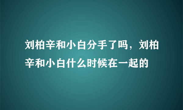 刘柏辛和小白分手了吗，刘柏辛和小白什么时候在一起的