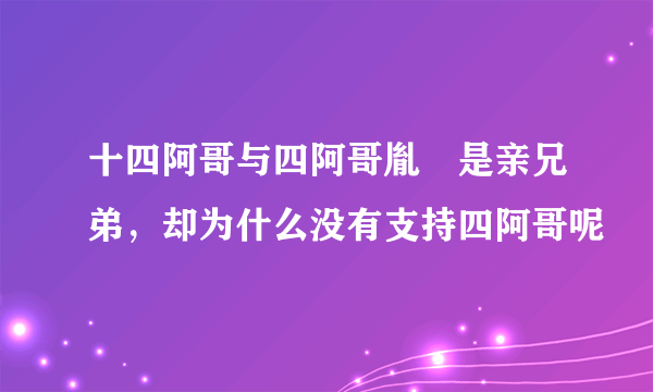 十四阿哥与四阿哥胤禛是亲兄弟，却为什么没有支持四阿哥呢