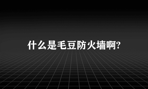 什么是毛豆防火墙啊?